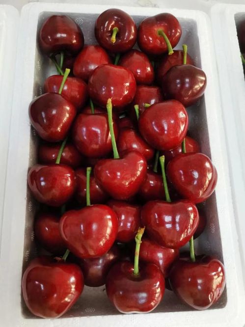 合卢生物环保科技 山东  草莓 蓝莓 大樱桃